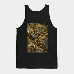 Ernst Haeckel Lacertilia Lizards Tank Top